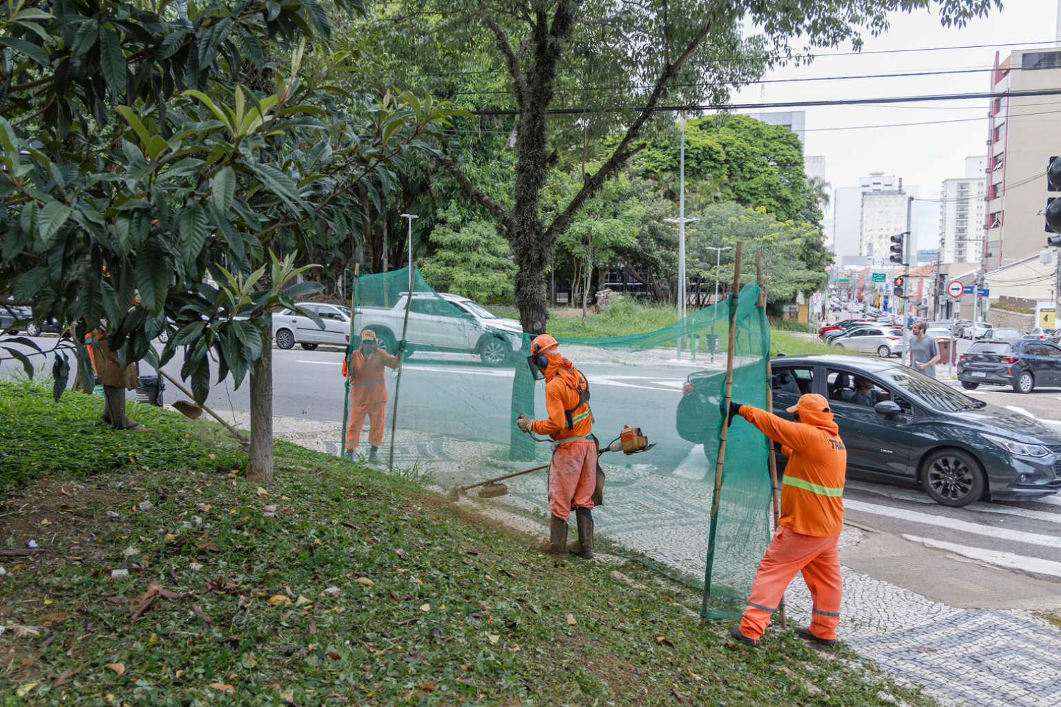 Imagem de trabalhadores da Prefeitura fazendo a zeladoria de áreas verdes 