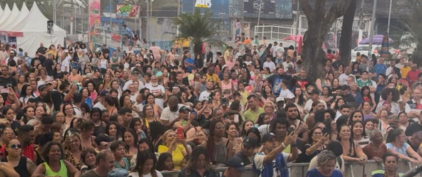 Centenas de pessoas em um show na rua 