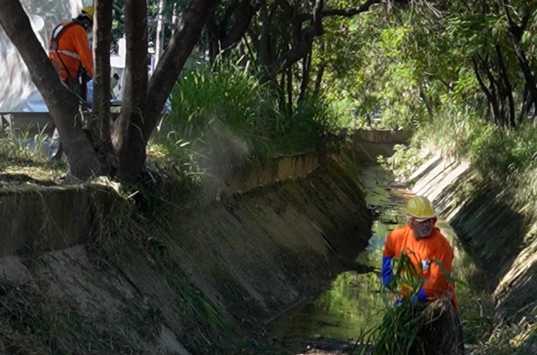 Imagem colorida em verde e preto com trabalhadores realizando serviços de zeladoria urbana