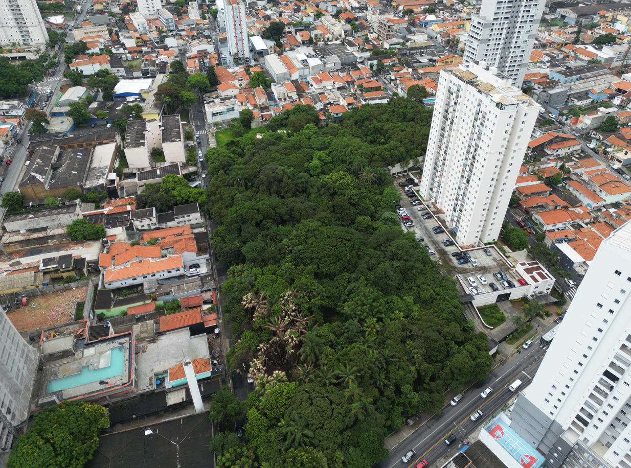 Imagem aérea de uma área urbana densamente ocupada. No centro, há um grande fragmento de vegetação verde, com árvores altas e copas fechadas, formando uma espécie de parque ou bosque. Ao redor dessa área verde, vê-se um bairro com muitas casas de telhados avermelhados e prédios altos residenciais, principalmente à direita da imagem. Ruas asfaltadas contornam o espaço verde, com carros circulando e estacionados. O contraste entre a vegetação densa e o entorno urbano evidencia a presença de natureza em meio à cidade.