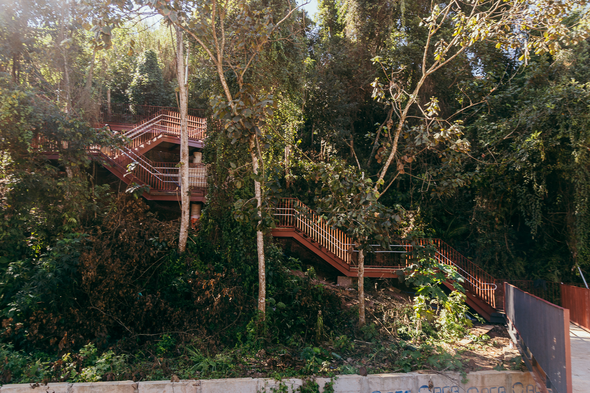 A imagem mostra uma escadaria de estrutura metálica, em tom marrom-avermelhado, que se eleva em meio a uma área de mata densa. A escada tem corrimãos também na cor marrom-avermelhada e se destaca no meio do verde intenso da vegetação. As árvores ao redor possuem troncos em tons de bege e marrom claro, com folhagens que variam do verde-escuro ao verde-claro, algumas com reflexos amarelados pela luz do sol. O céu aparece discretamente no topo da imagem, em azul suave, filtrado pelas copas das árvores. Na parte inferior, há um muro de concreto em tom cinza claro, com pichações em azul.