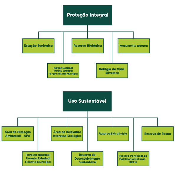 Esta imagem é um organograma que representa os tipos de Unidades de Conservação (UCs) segundo a legislação ambiental brasileira, divididas em duas categorias principais:  1. Proteção Integral Essas unidades visam a preservação total da natureza, permitindo apenas o uso indireto dos recursos naturais. Incluem:  Estação Ecológica  Reserva Biológica  Parques:  Parque Nacional  Parque Estadual  Parque Natural Municipal  Refúgio de Vida Silvestre  Monumento Natural  2. Uso Sustentável Permitem o uso racional dos recursos naturais, conciliando conservação com atividades humanas sustentáveis. Incluem:  Área de Proteção Ambiental (APA)  Floresta Nacional, Estadual e Municipal  Área de Relevante Interesse Ecológico  Reserva de Desenvolvimento Sustentável  Reserva Extrativista  Reserva Particular do Patrimônio Natural (RPPN)  Reserva de Fauna